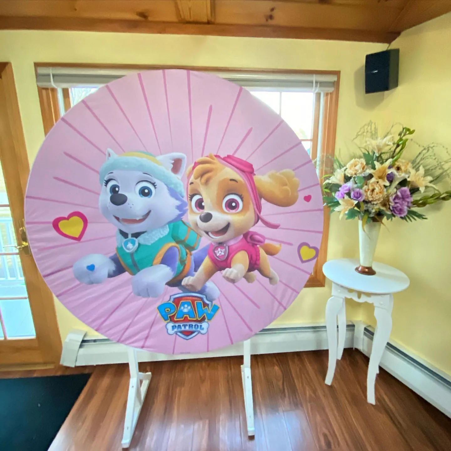 5ft Pink Paw Patrol Round Backdrop  