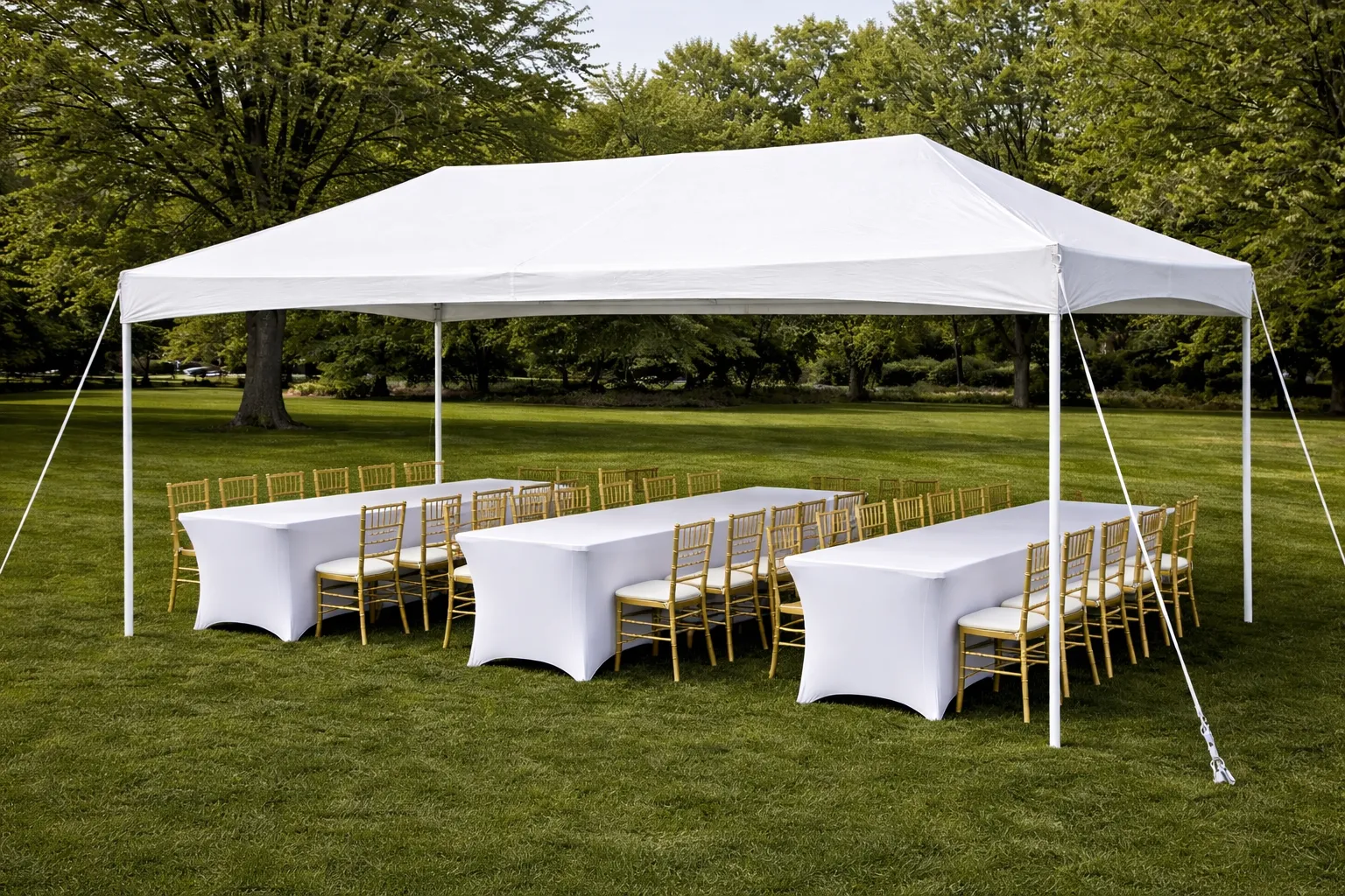 Elegant Tent Package For 20