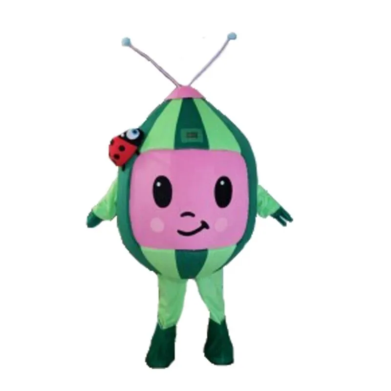 Watermelon Mascot Costume