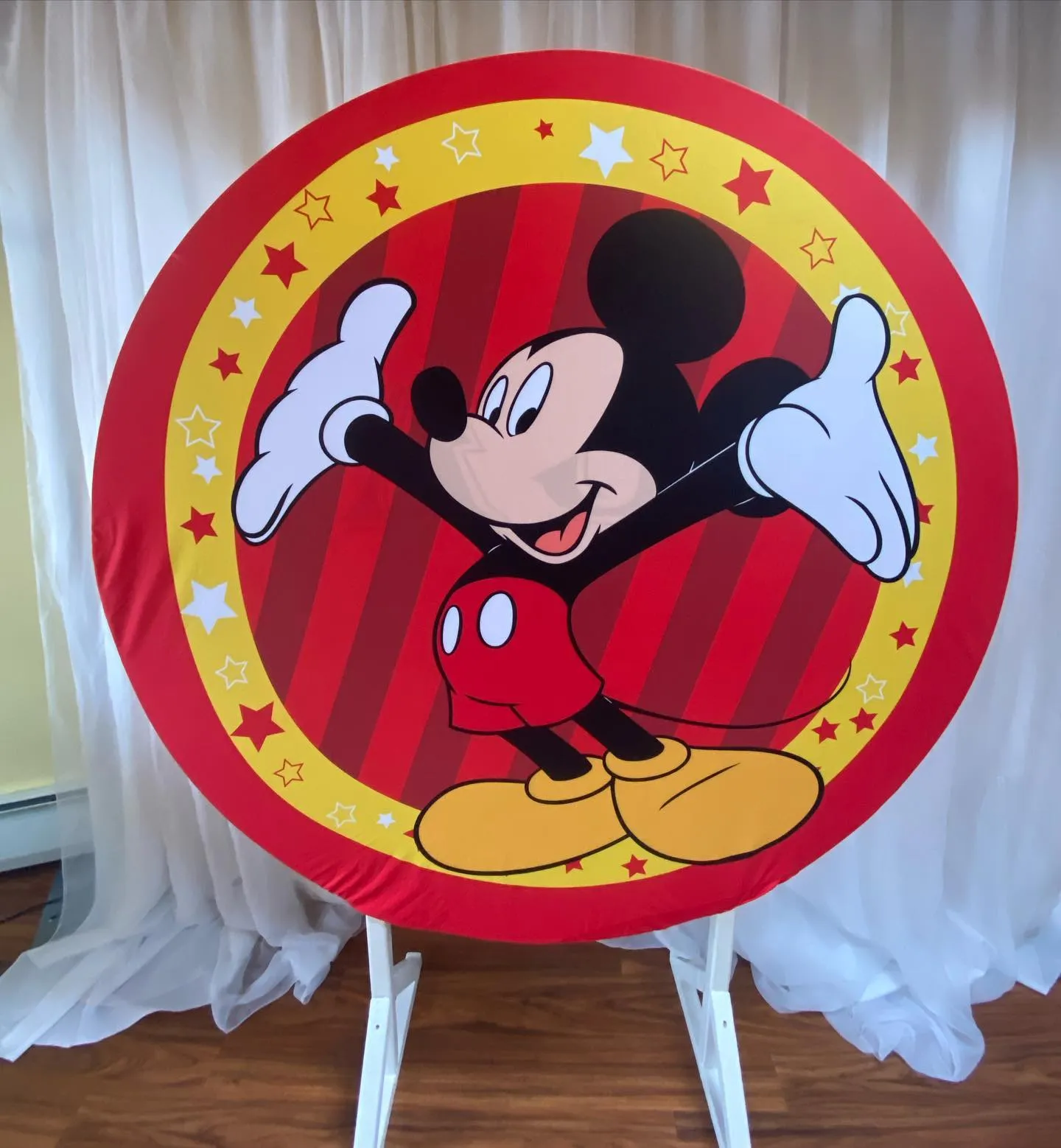 Mouse Round Backdrop 