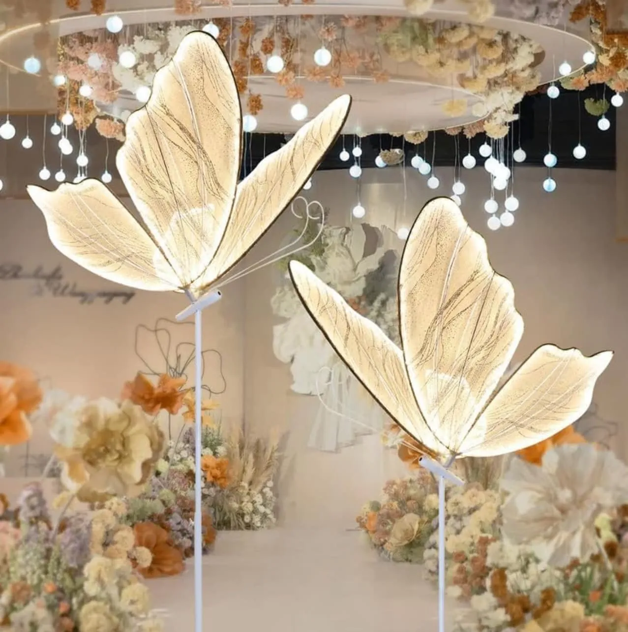 Bundle of 2 Butterfly Lights 