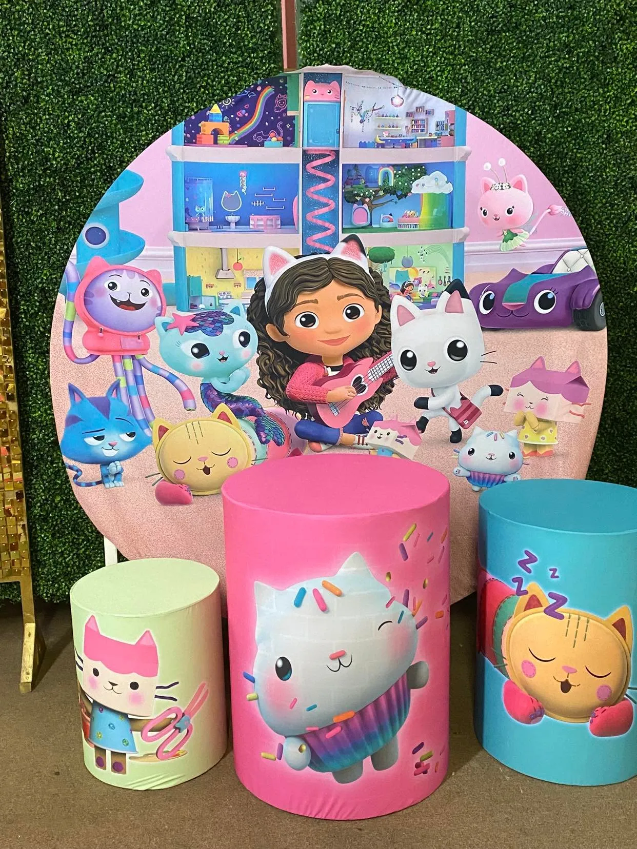 6ft Girl with kitties 