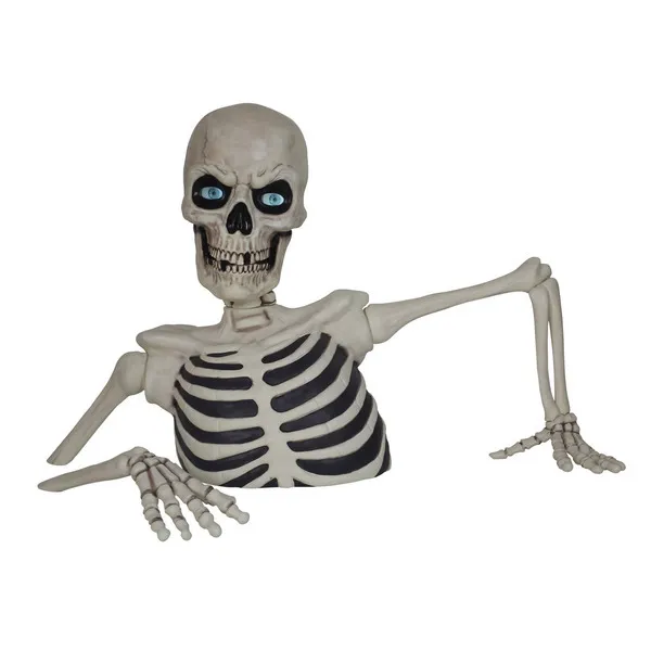 62" Ground Breaking Skeleton