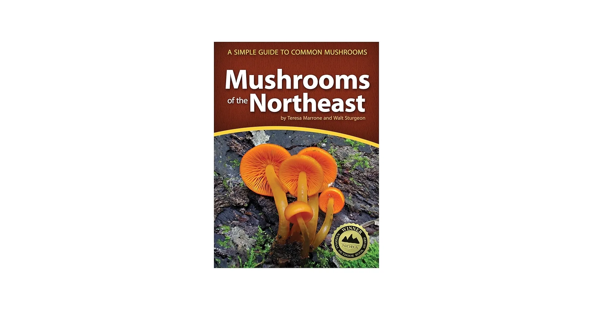 Mushrooms of the Northeast - A Simple Guide to Common Mushrooms