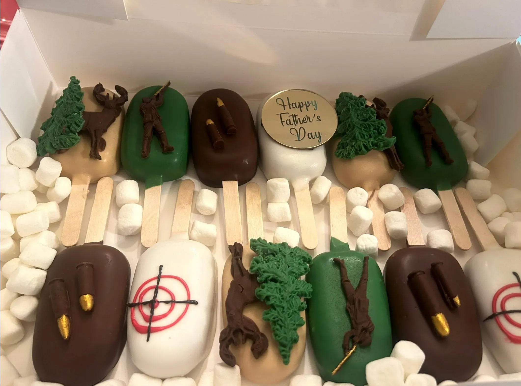 1 Dozen Chocolate covered Cakesicles