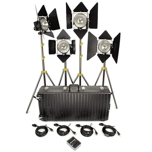 Lowel DP Kit