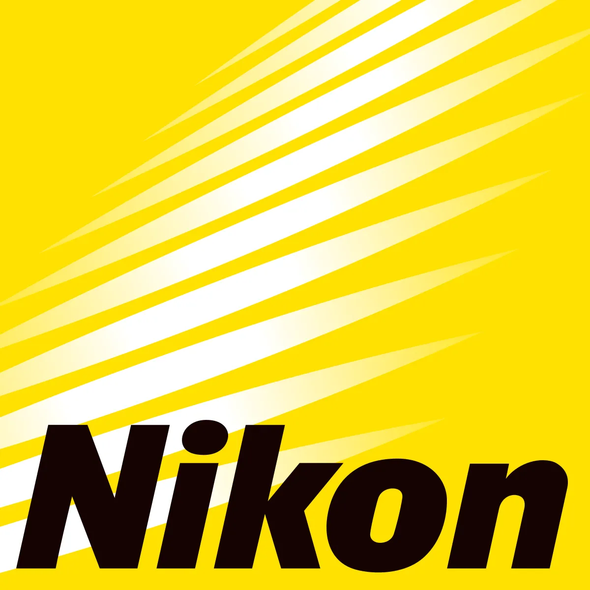 Everything Nikon