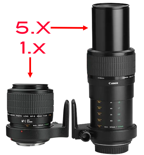 Canon MP-E (EF) 65mm f/2.8 1:1-5:1 X Macro Lens