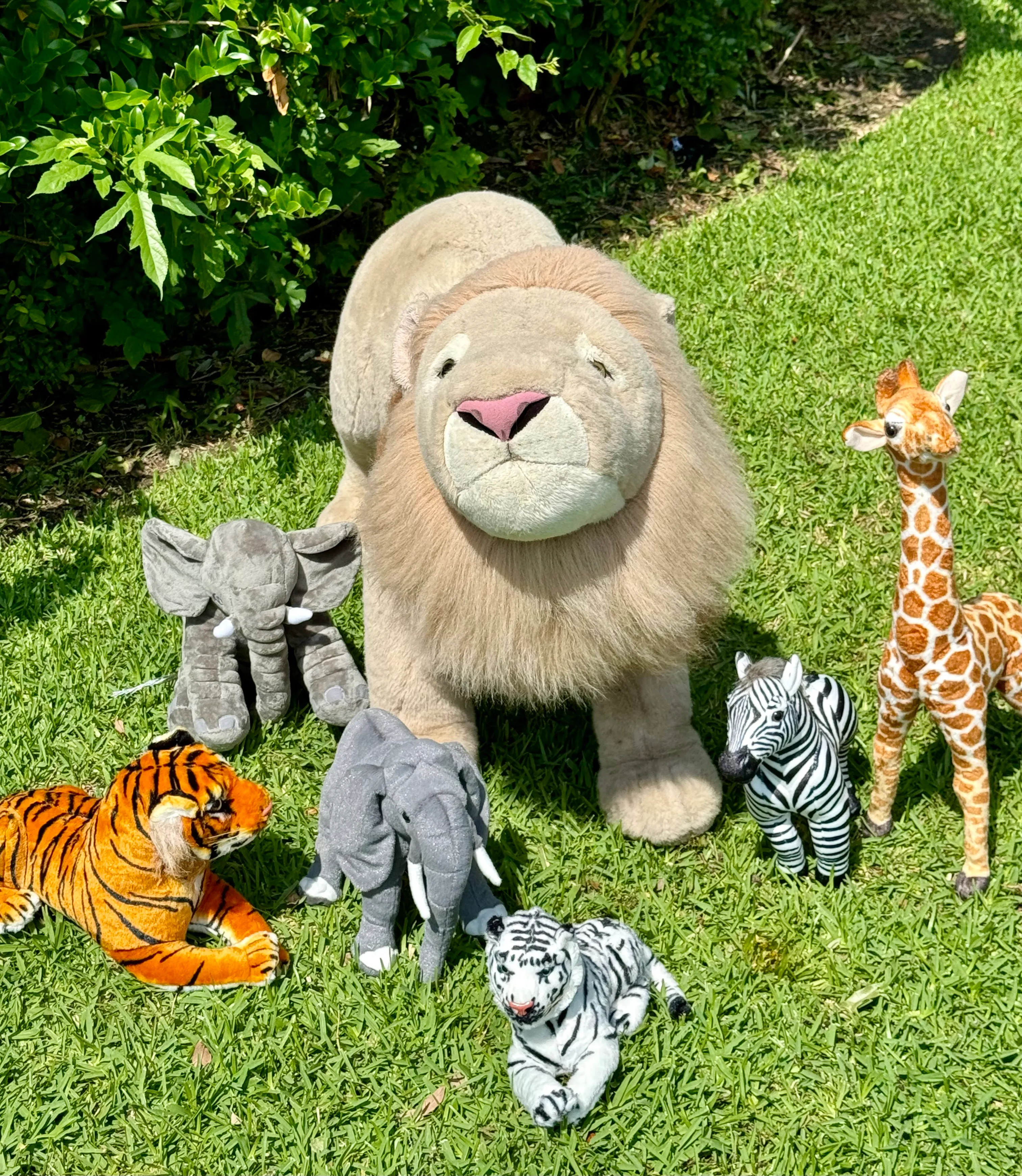 Jungle Friends