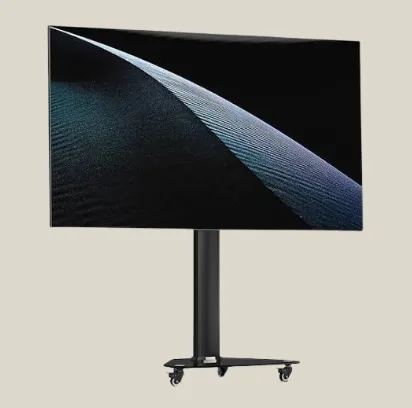 TV 55" 4K + pied