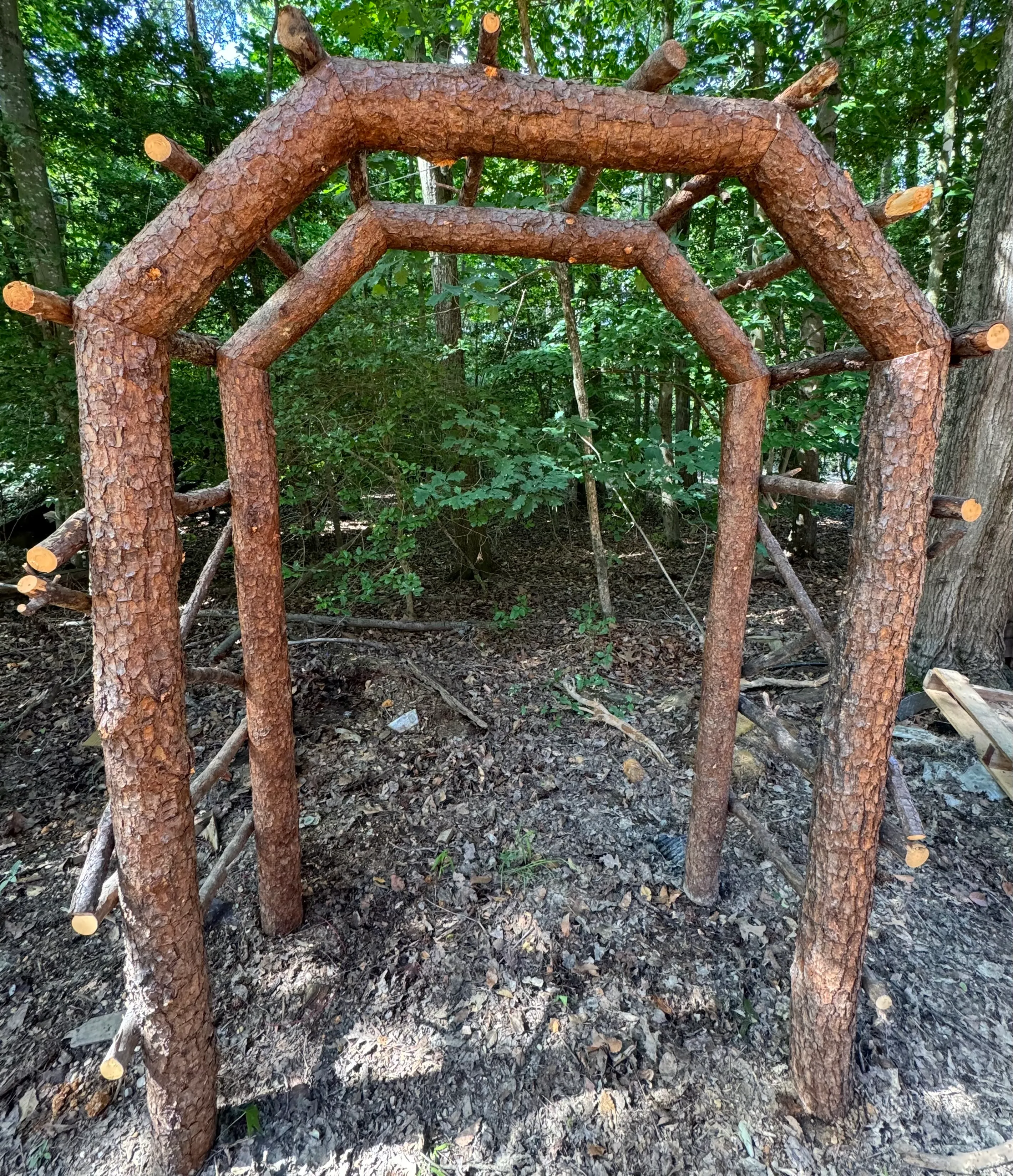 Rustic Pine Log Arch (Measures 33ft. x 2.5ft.)