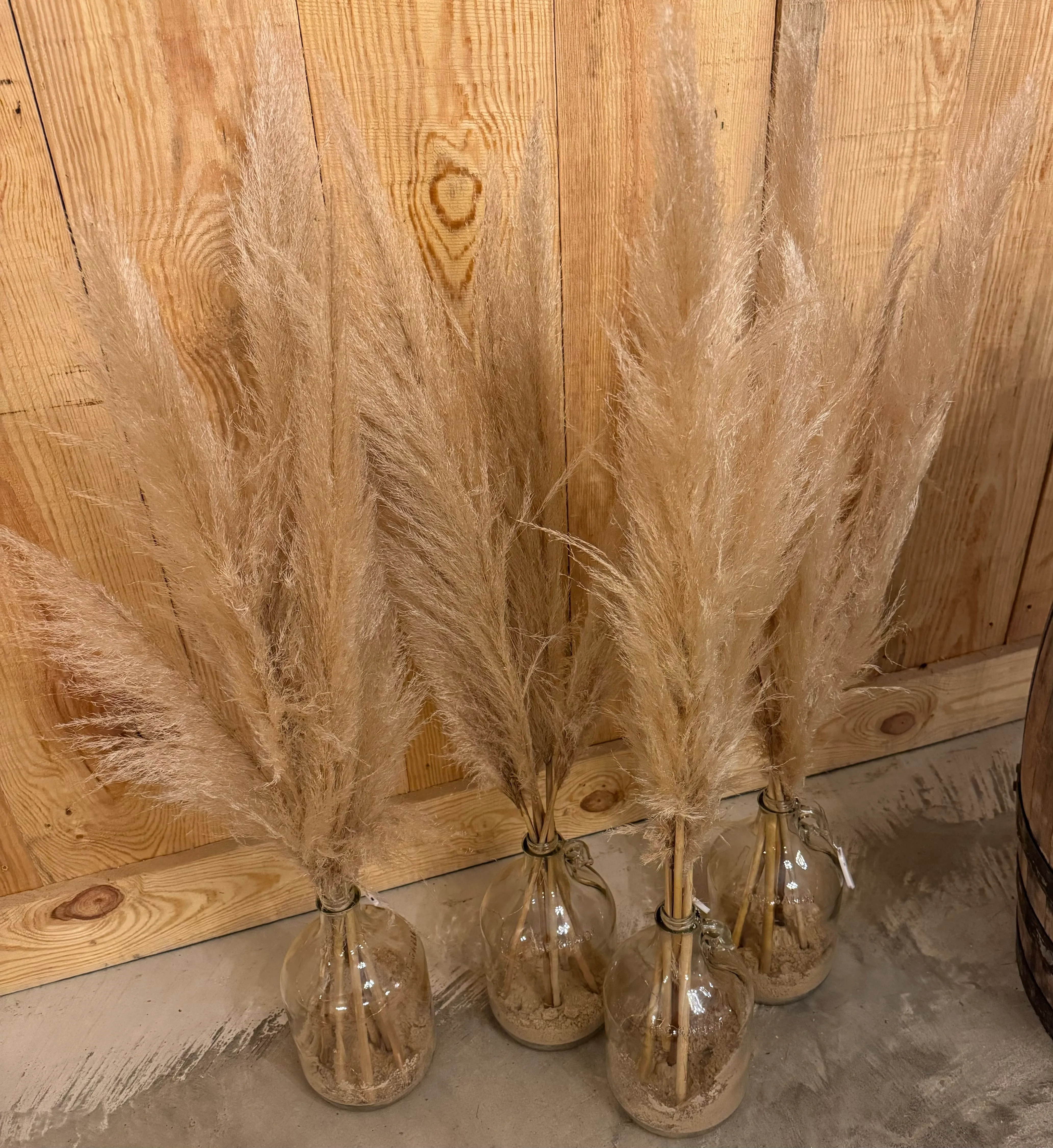 Gallon Glass Jars with real pampas stems & fairy lights
