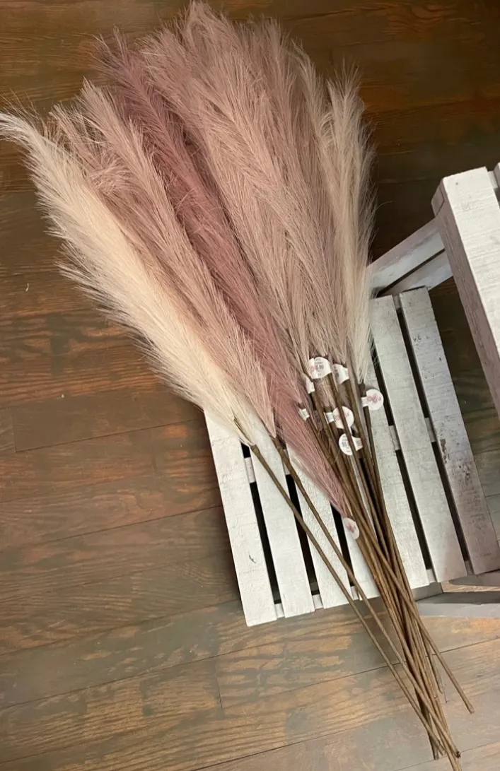 Faux Pampas Stems