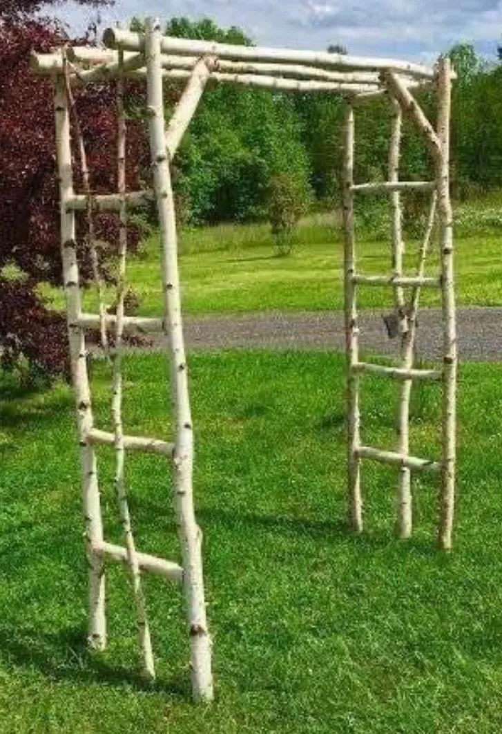Birch Tree Arch (Measures 63" wide x 82" high)