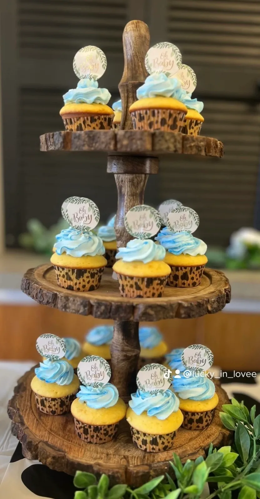 Rustic 3-Tier Cupcake Stand