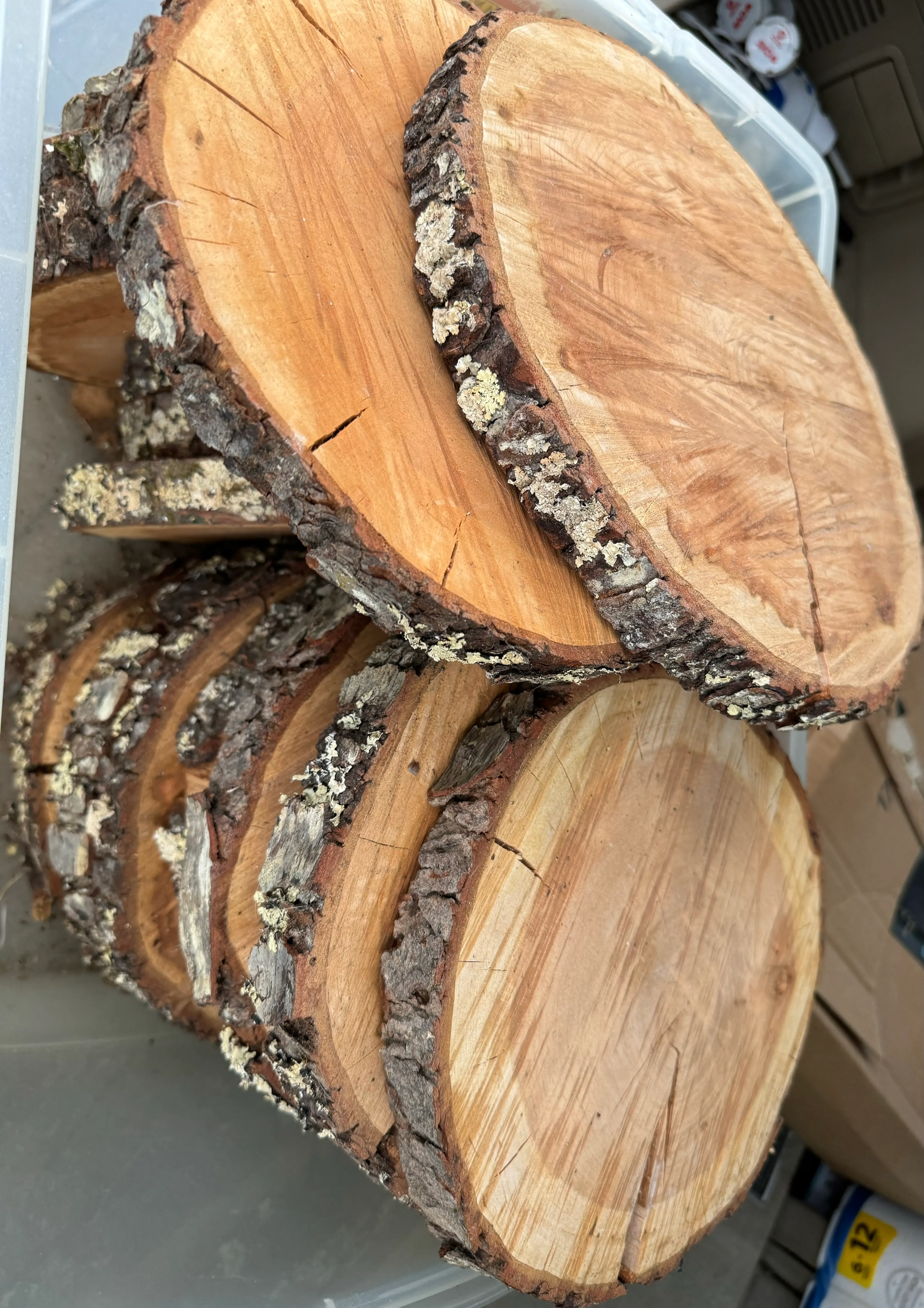 1” Thick Raw Wood Slices