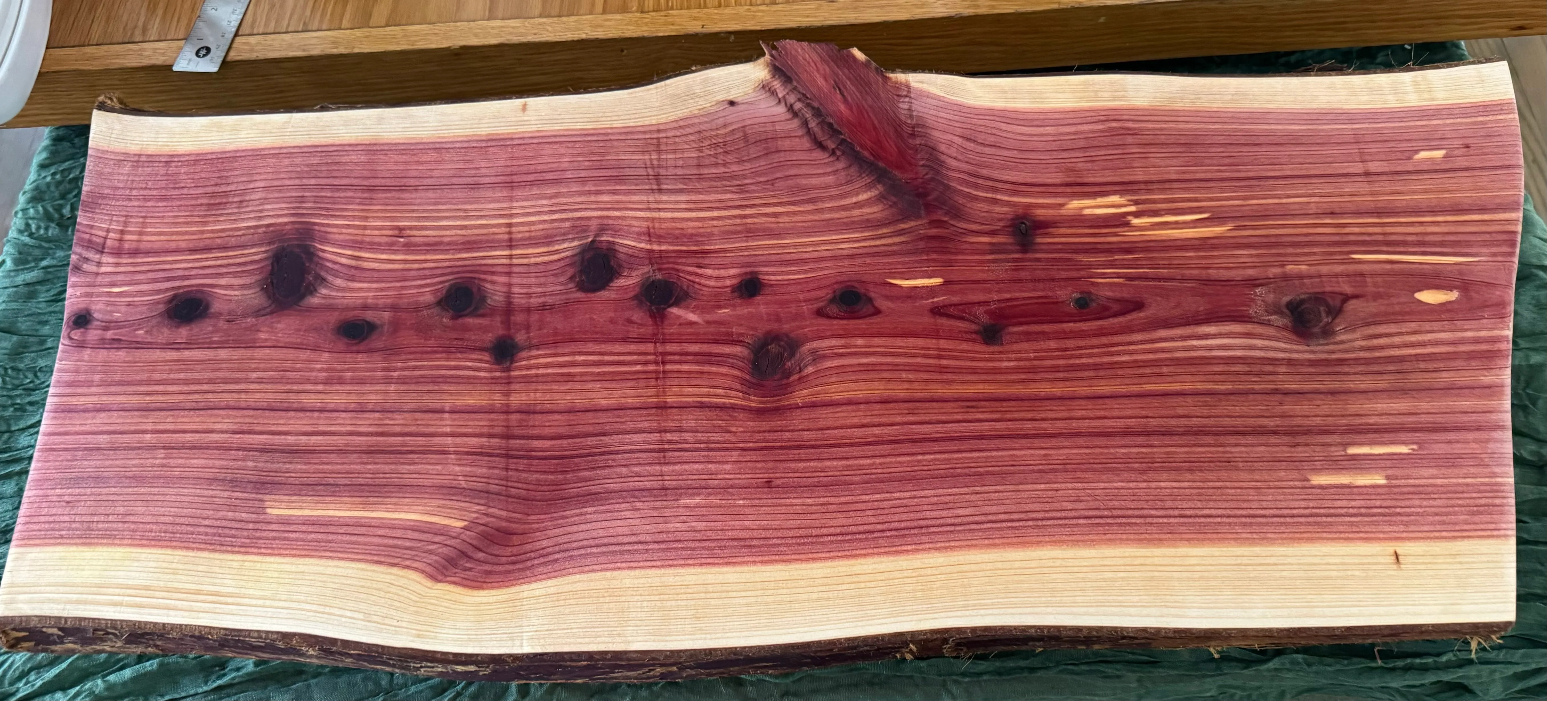 Cedar Live Edge Charcuterie Board with Mineral Oil Coating (31.5”W x 13” Tall)