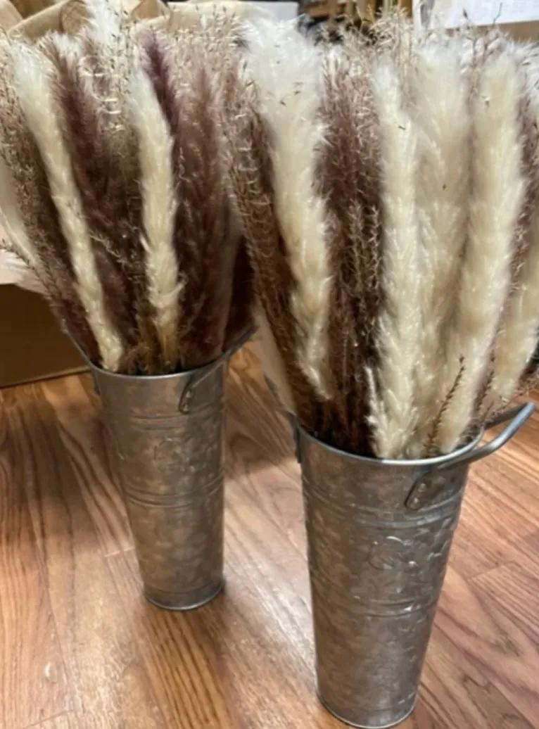 Pampas in Metal Buckets
