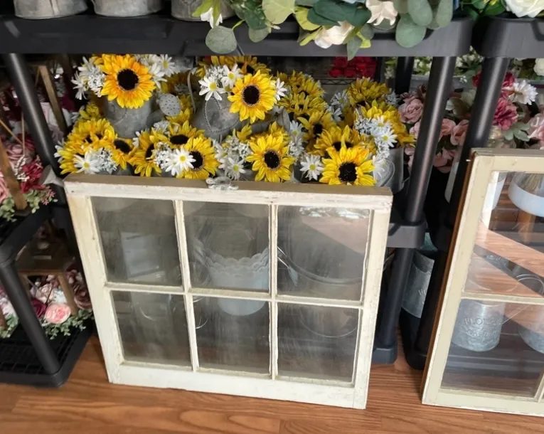 6-Pane Old White Windows