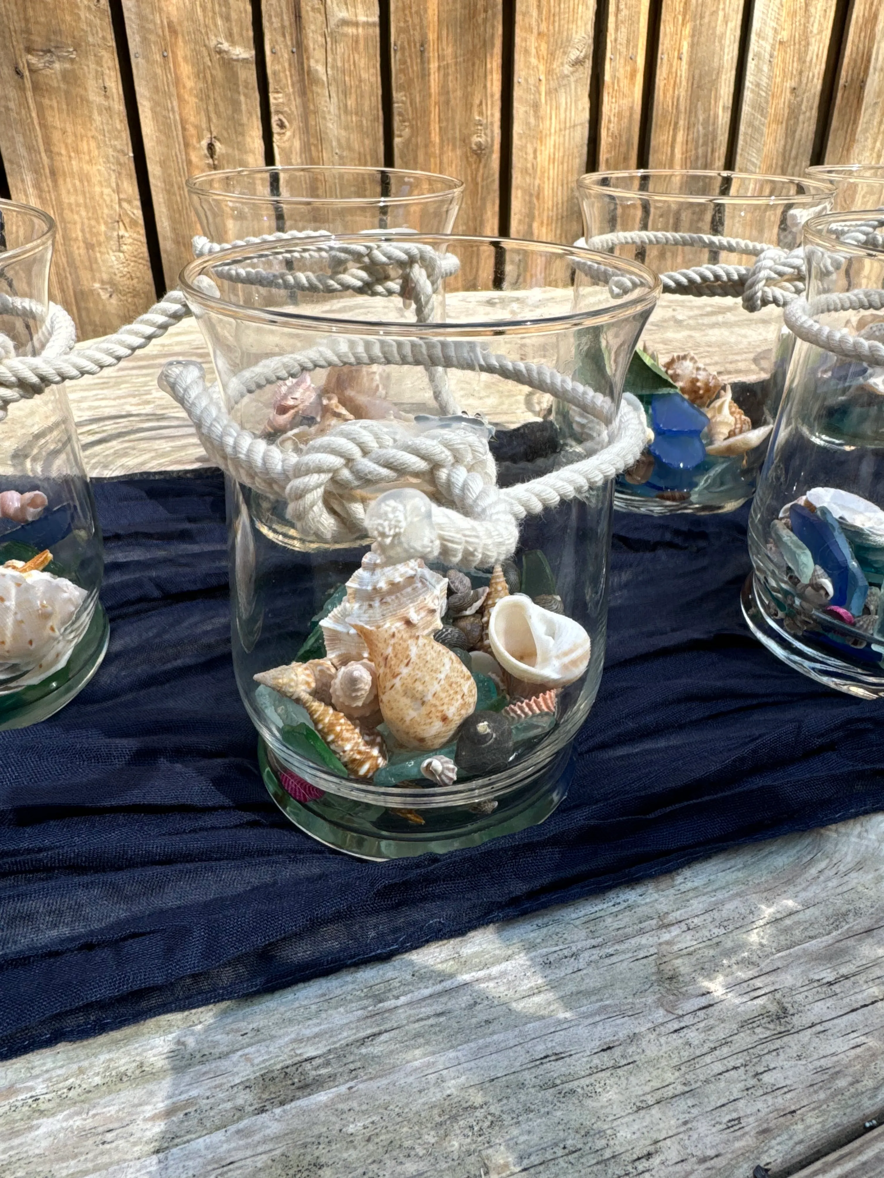 Clear Vases with Tied Knot & Shells
