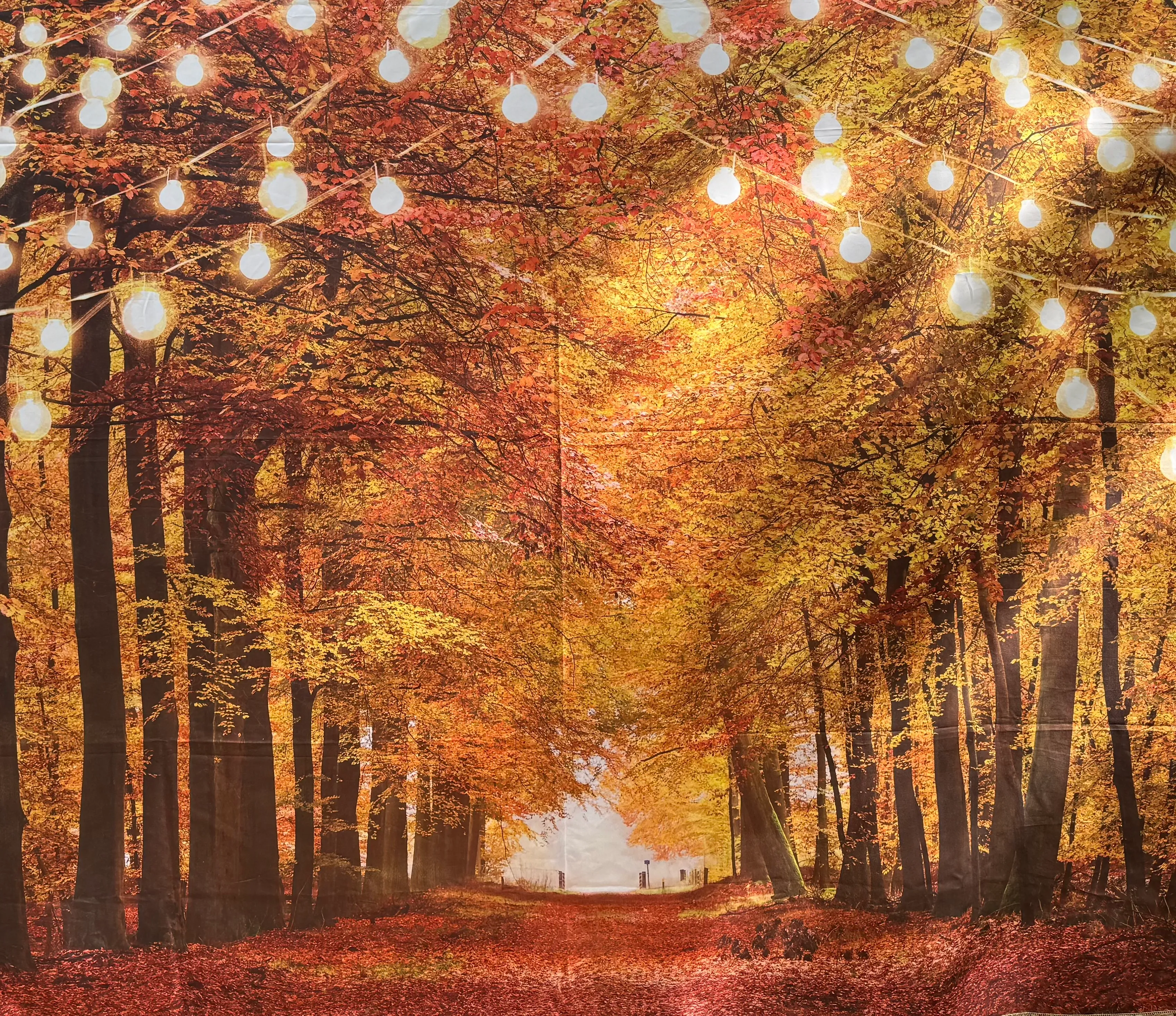 Fall Forest Linen Backdrop