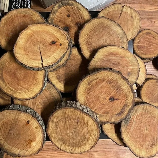Red Oak Rounds (Smaller 7"-8" in diameter)
