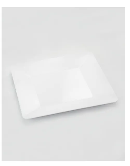 POLYCARBONATE PLATTER