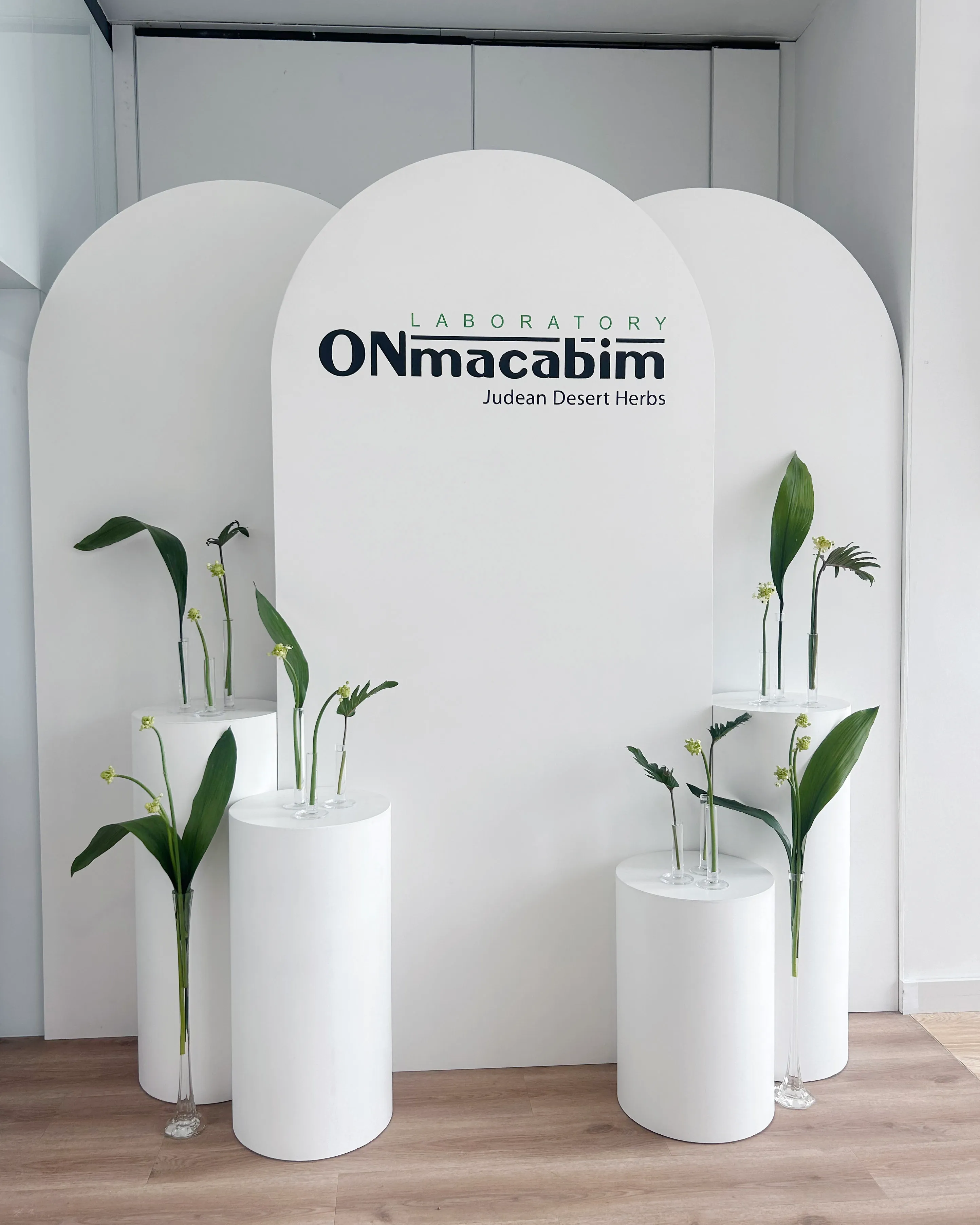 02 | ARCHES | BACKDROPS