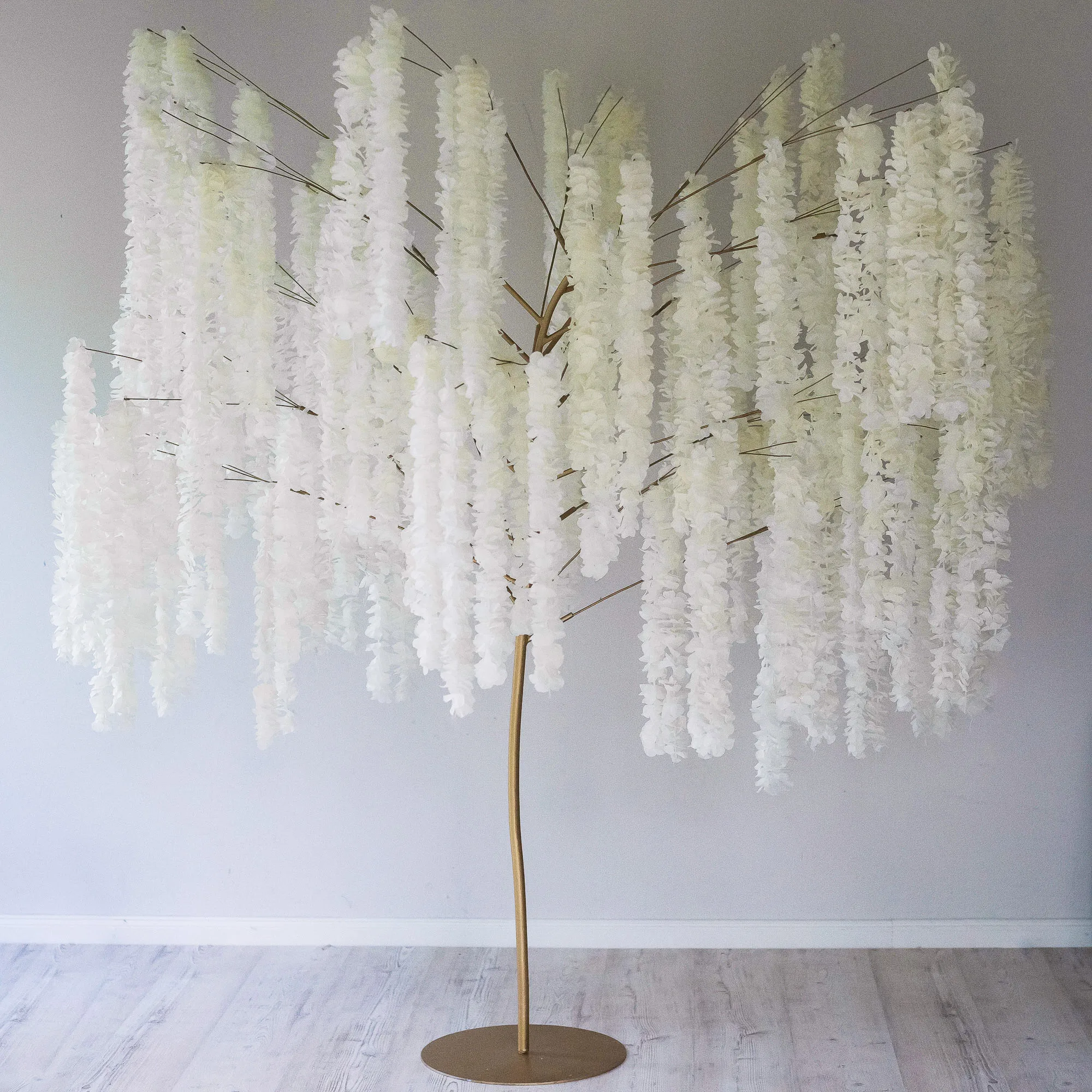 WISTERIA WHITE tree