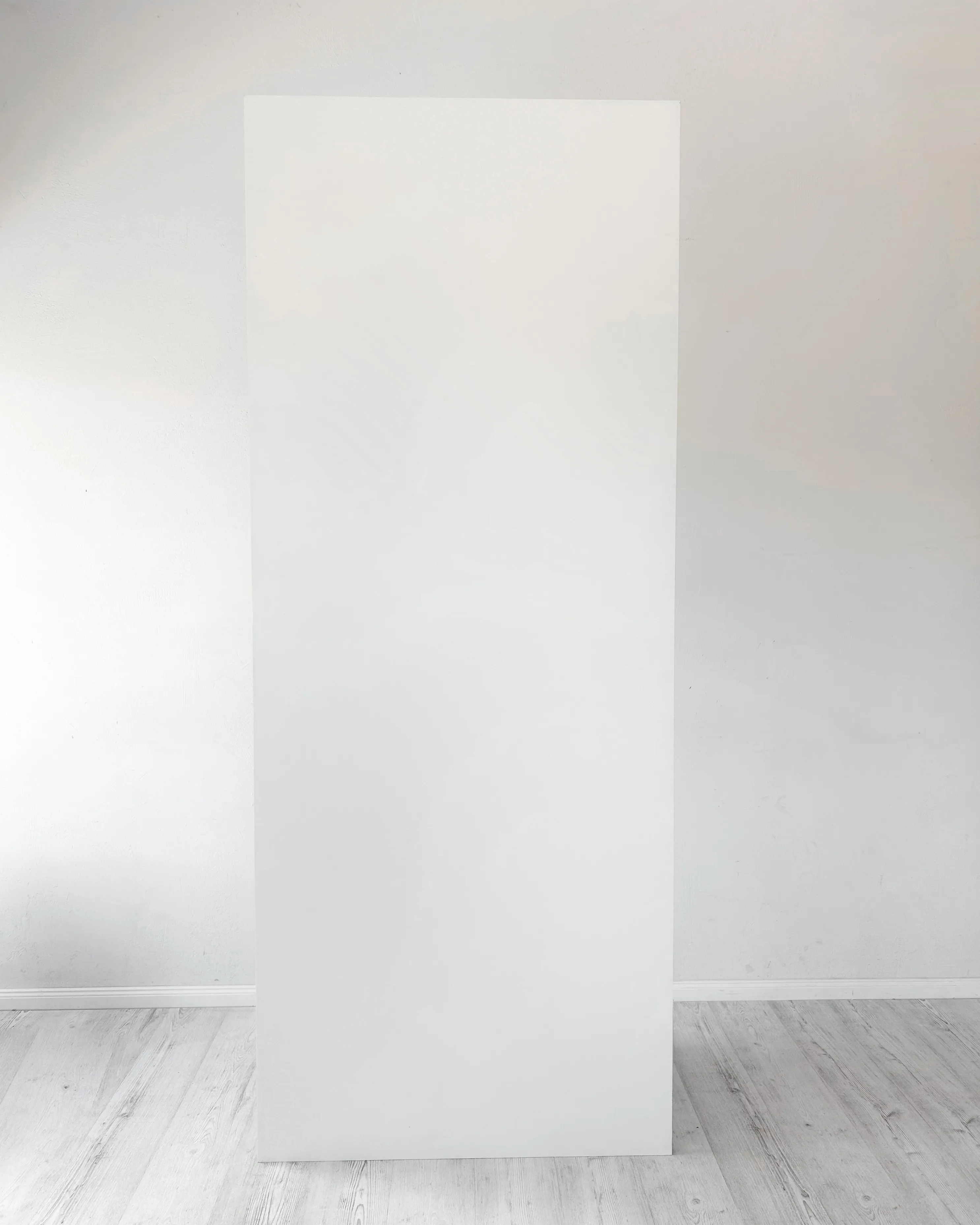 MINIMAL WHITE backdrop 125x250 cm