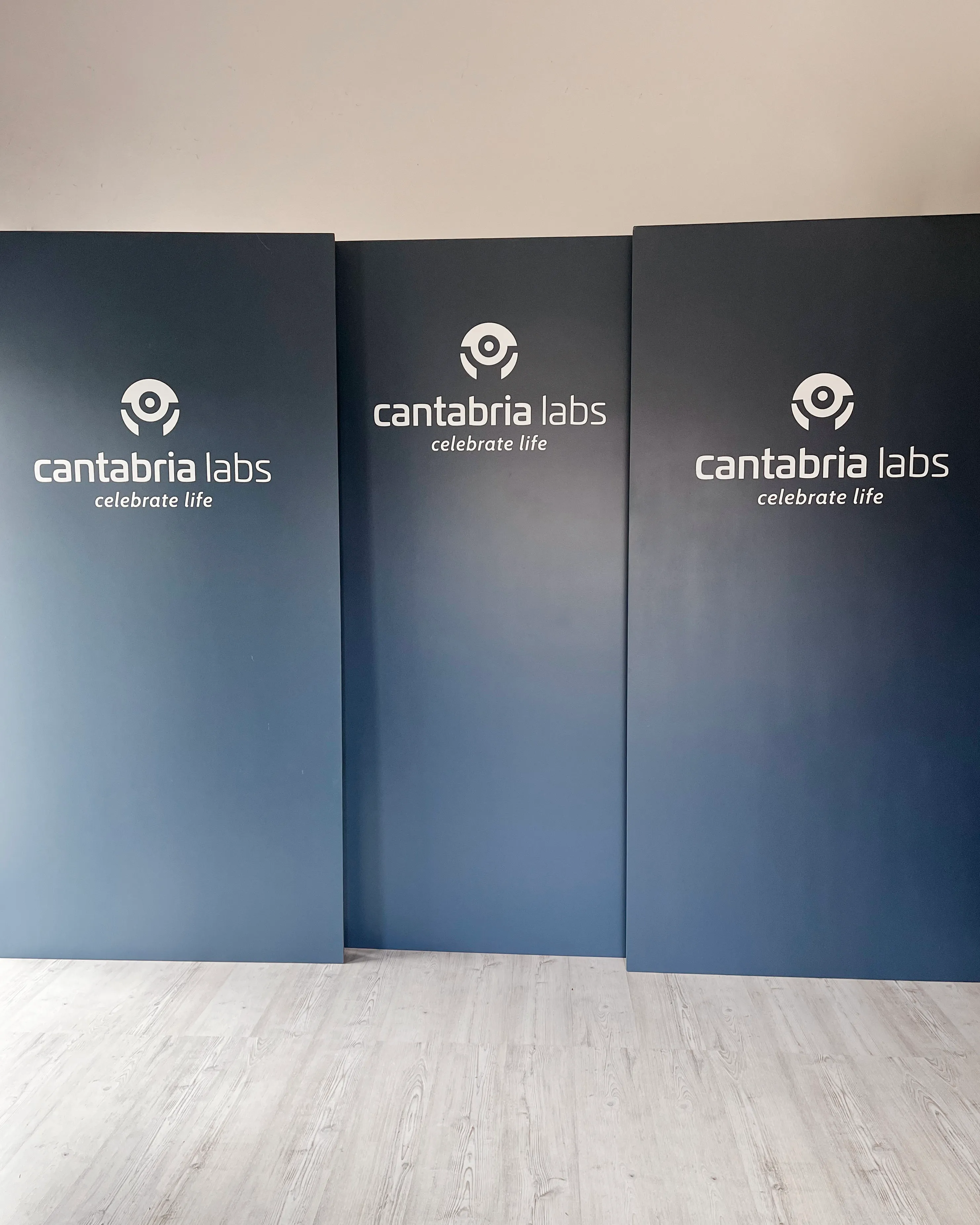 3 x  CUSTOM COLOR MINIMAL backdrop