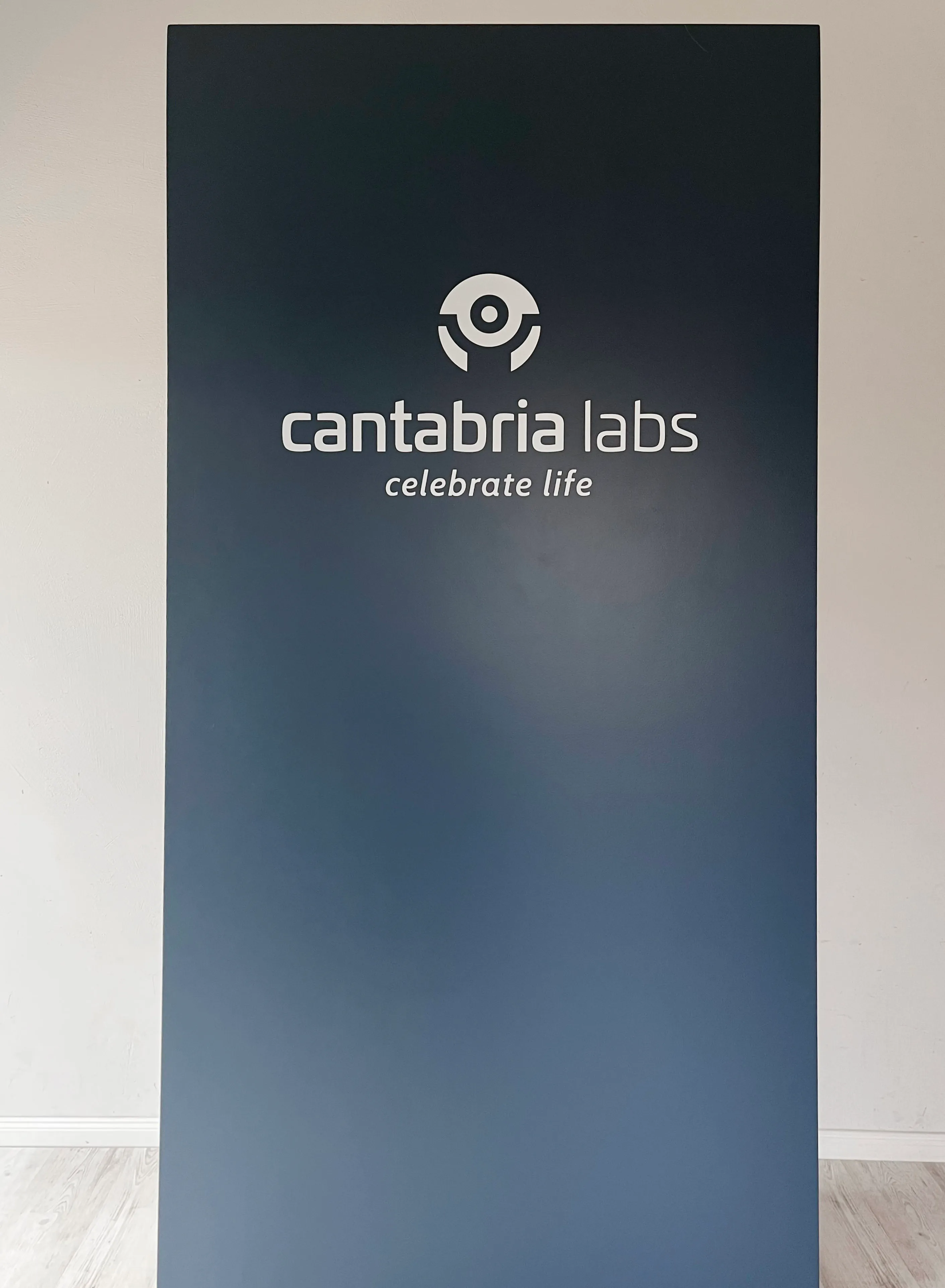 CUSTOM COLOR MINIMAL backdrop 125x250 cm