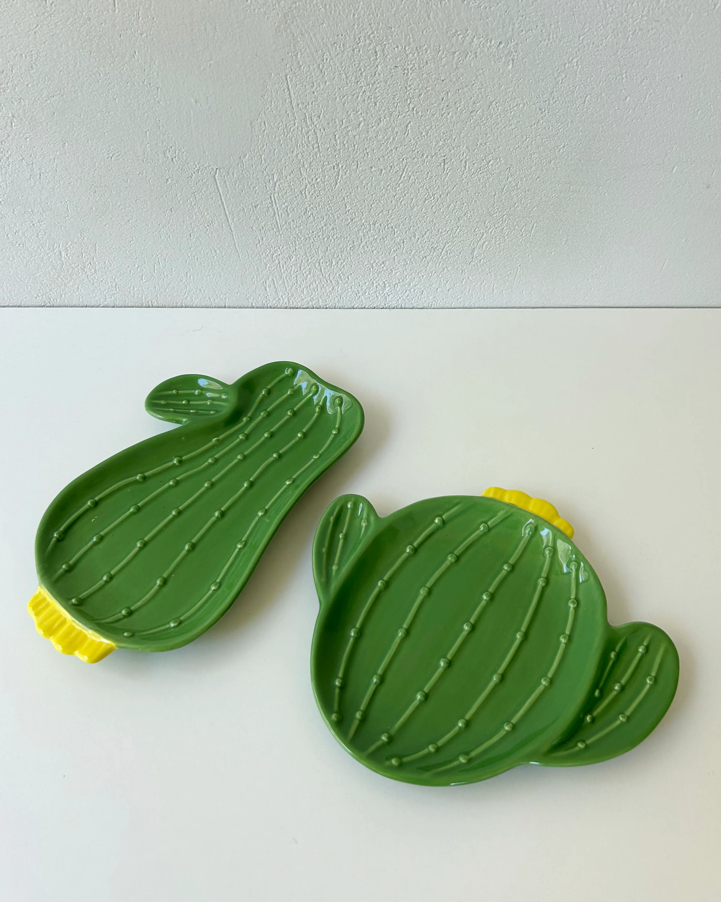 2 x CACTUS plate