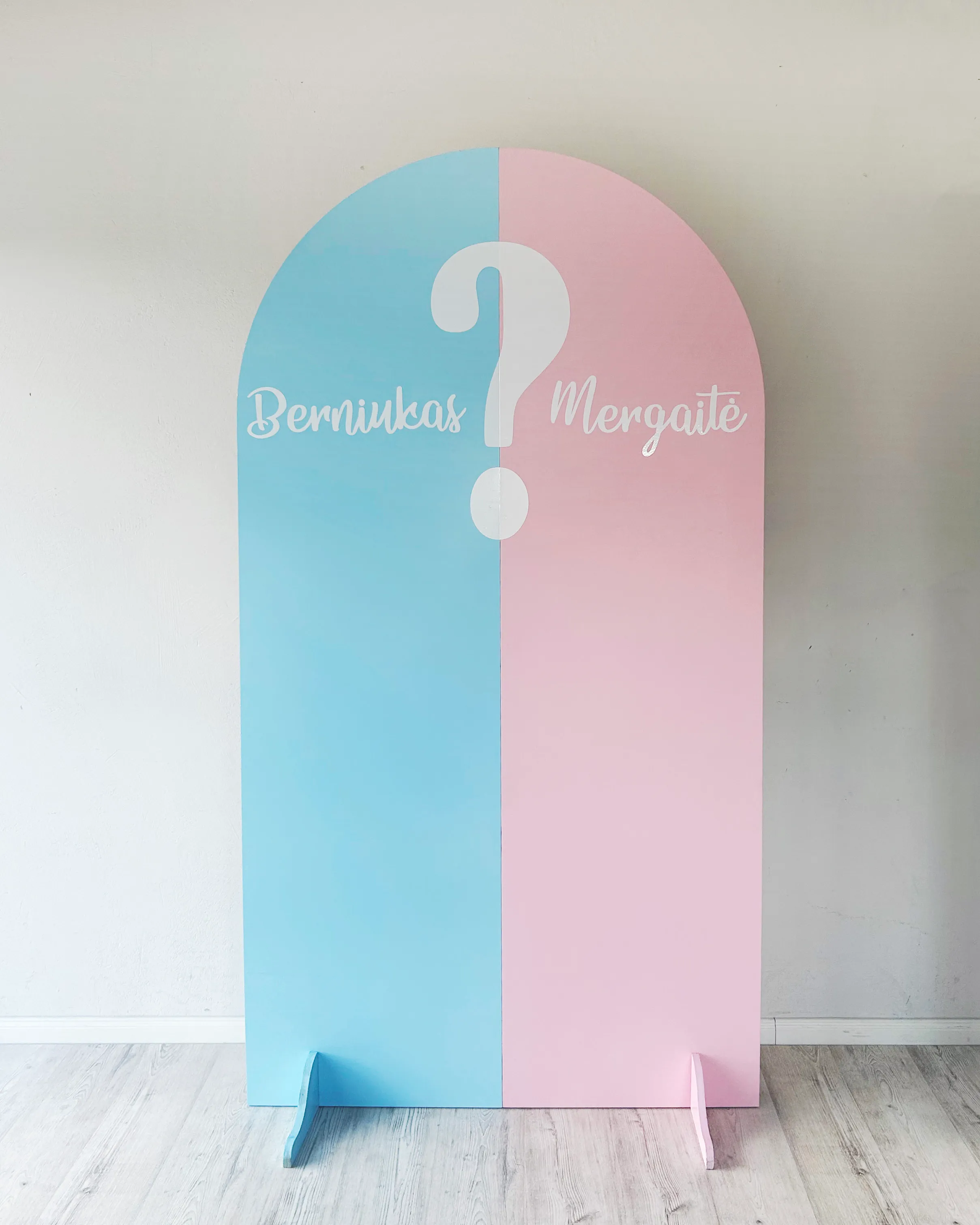 BOY or GIRL backdrop