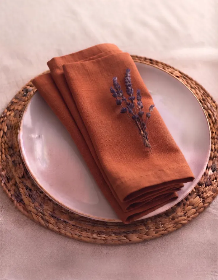 Terracotta Linen Napkins