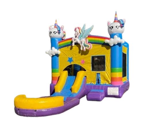 Unicorn Marble Wet/Dry Combo