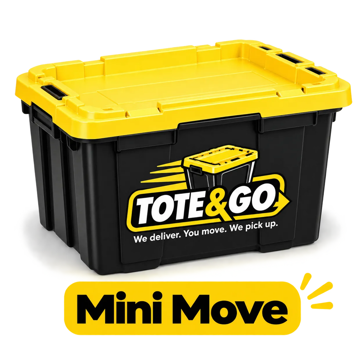 10-Totes Rental Package | Mini Move