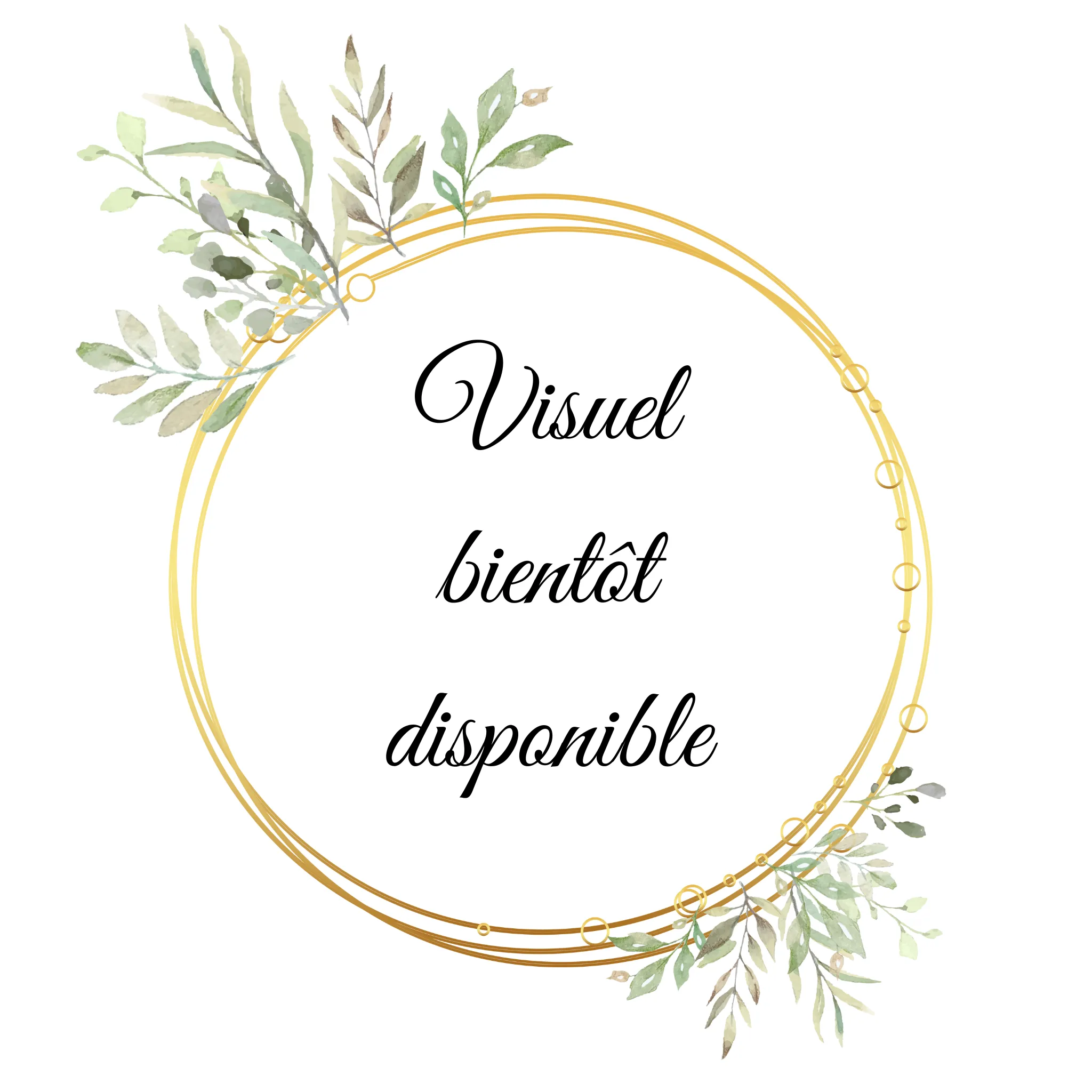 Pack Napoléon Crystal