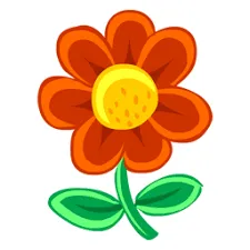 Flower Arrangement