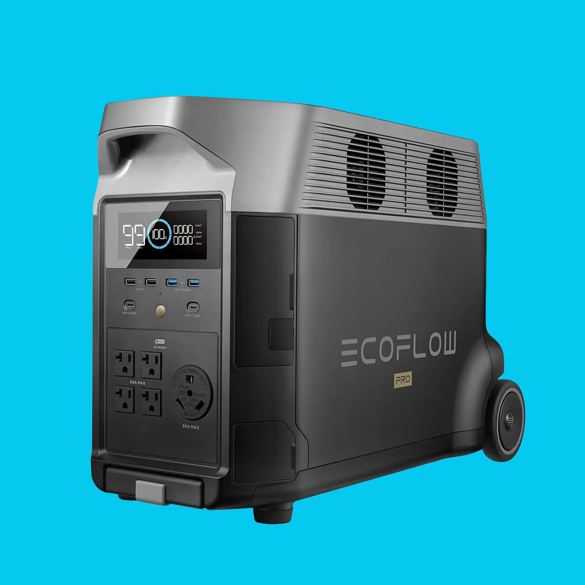 EcoFlow DELTA Pro