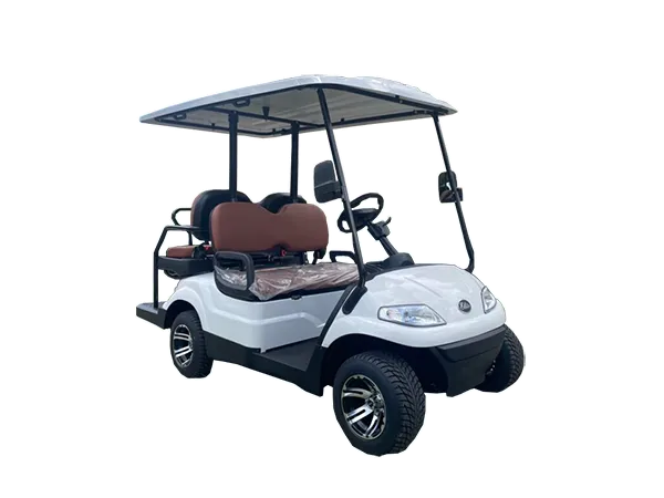 #1 - 2 Seater Golf Cart 
