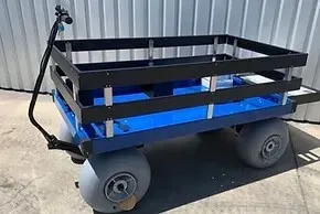 Electric Beach Wagon