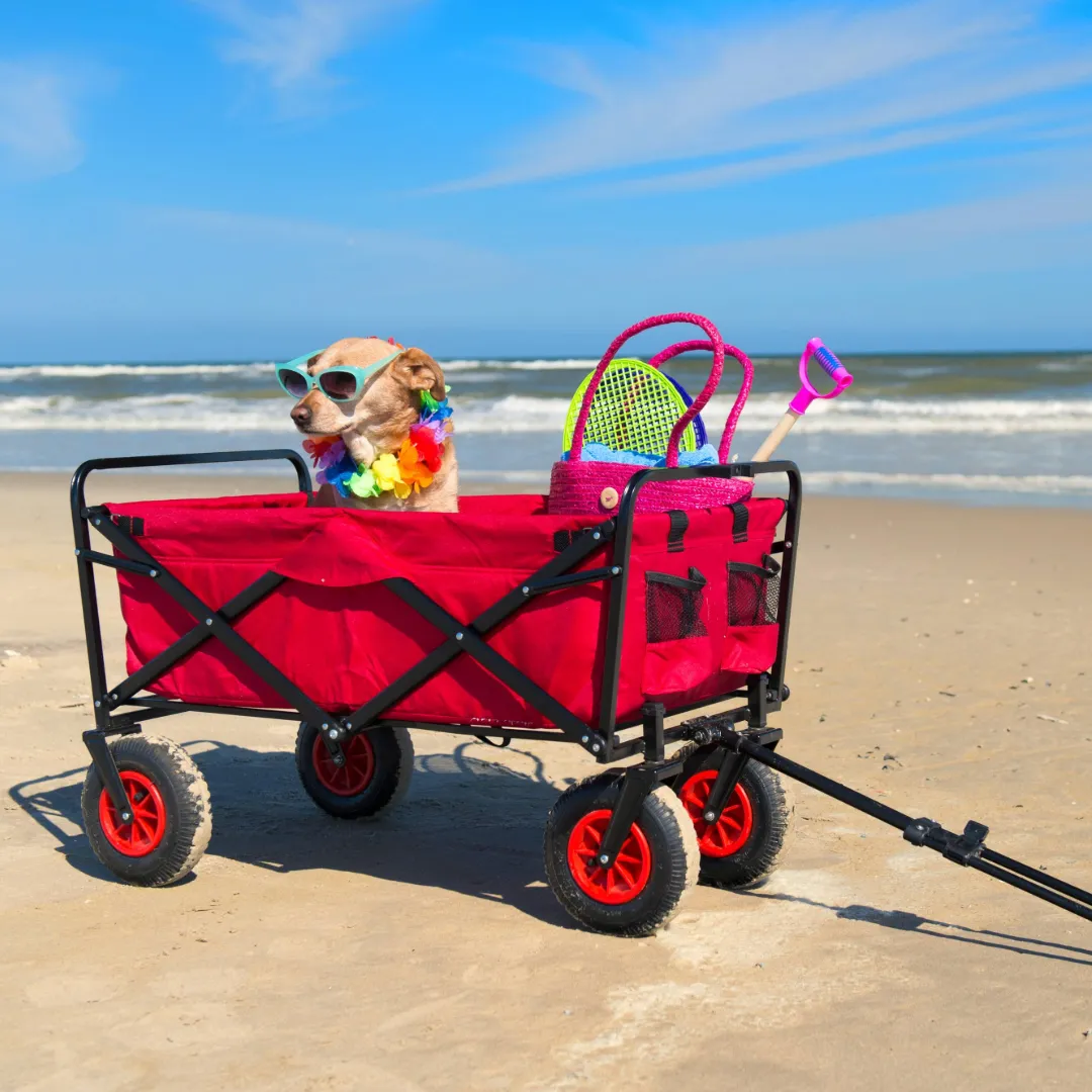 Heavy-Duty Collapsible Beach Wagon