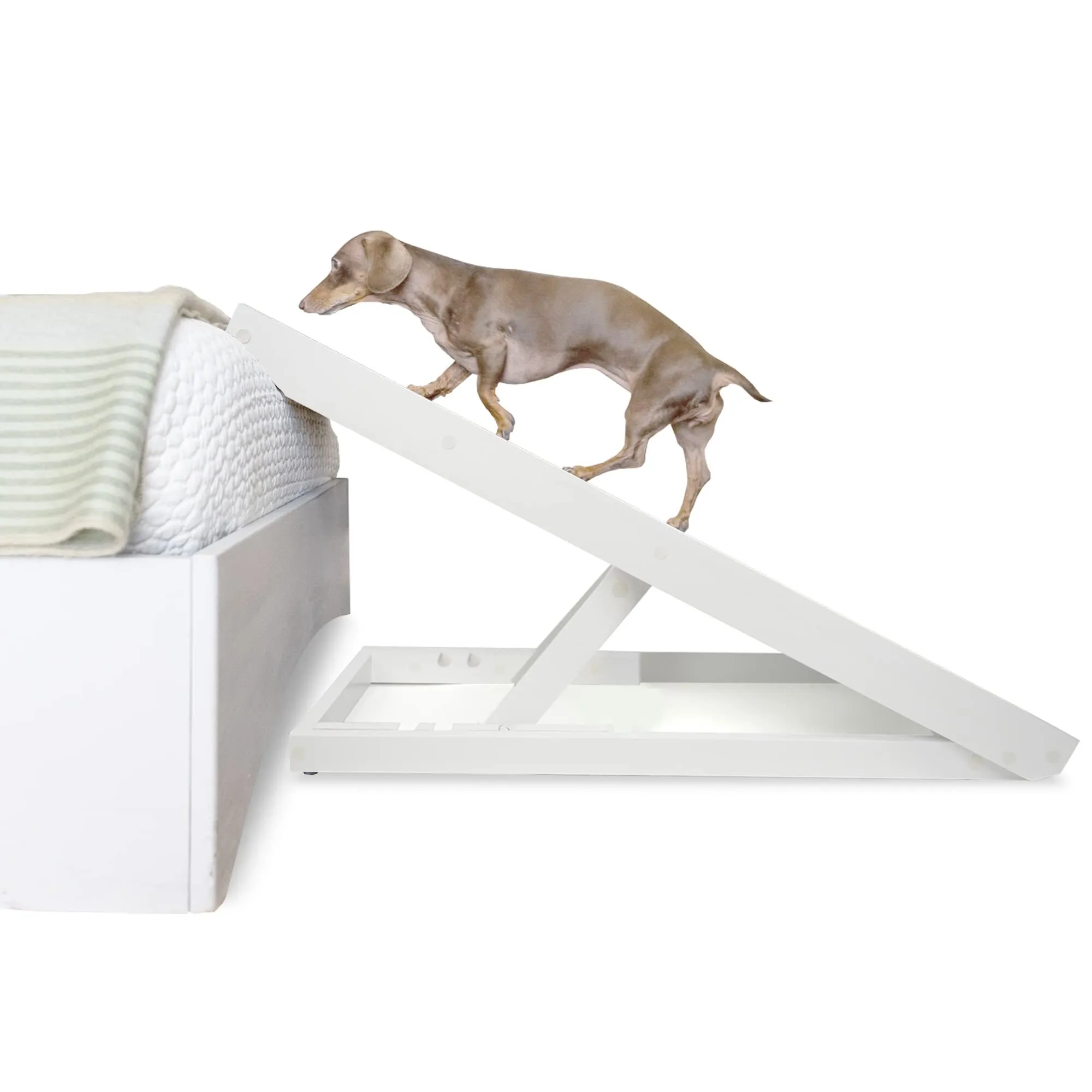 Pet Ramp for Older Pets – Safe Access, Family Comfort