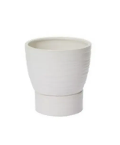Vase White Pot