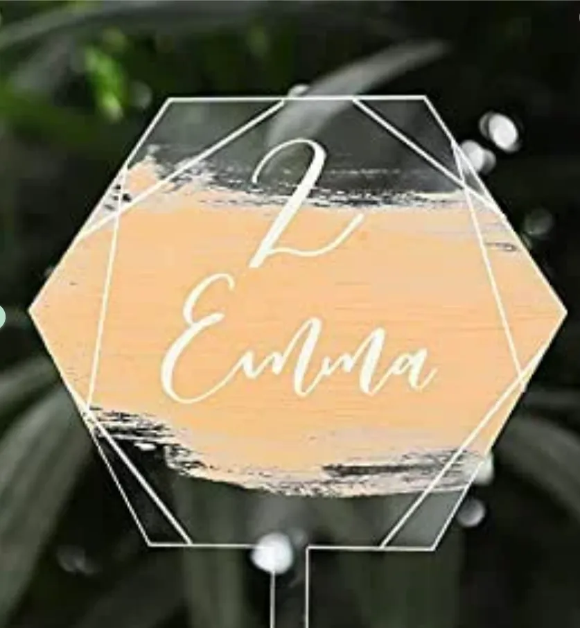 Acrylic Cake Topper Geo Acrylic