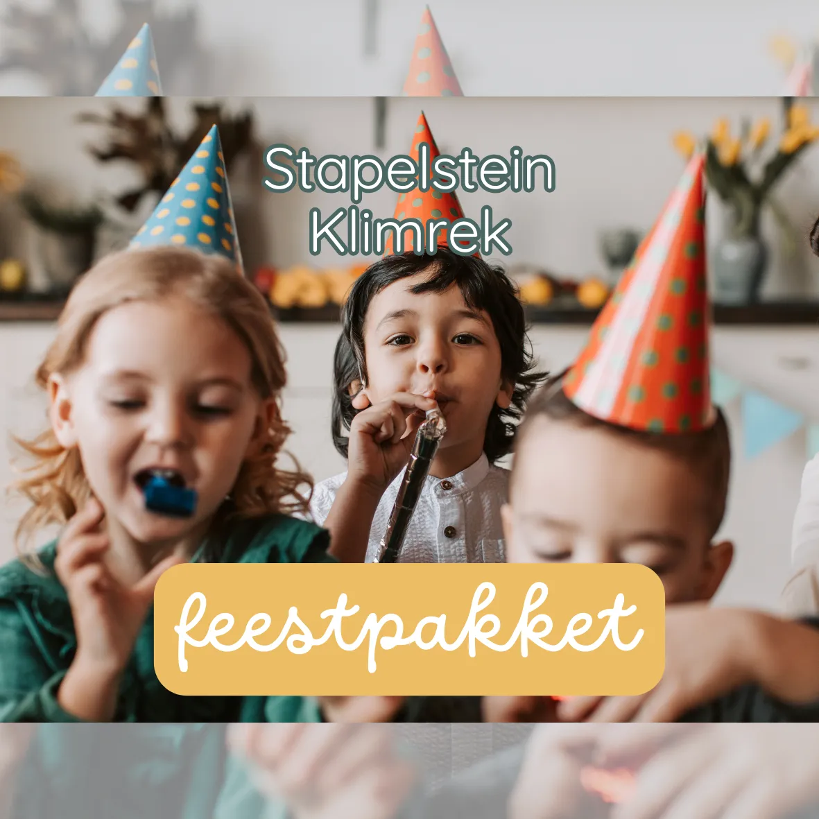 Feestpakket S