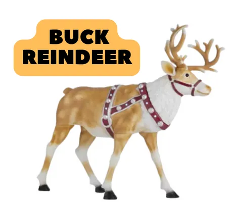  Reindeer