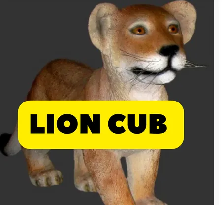 Lion Cub