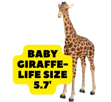 Baby Giraffe -Life Size